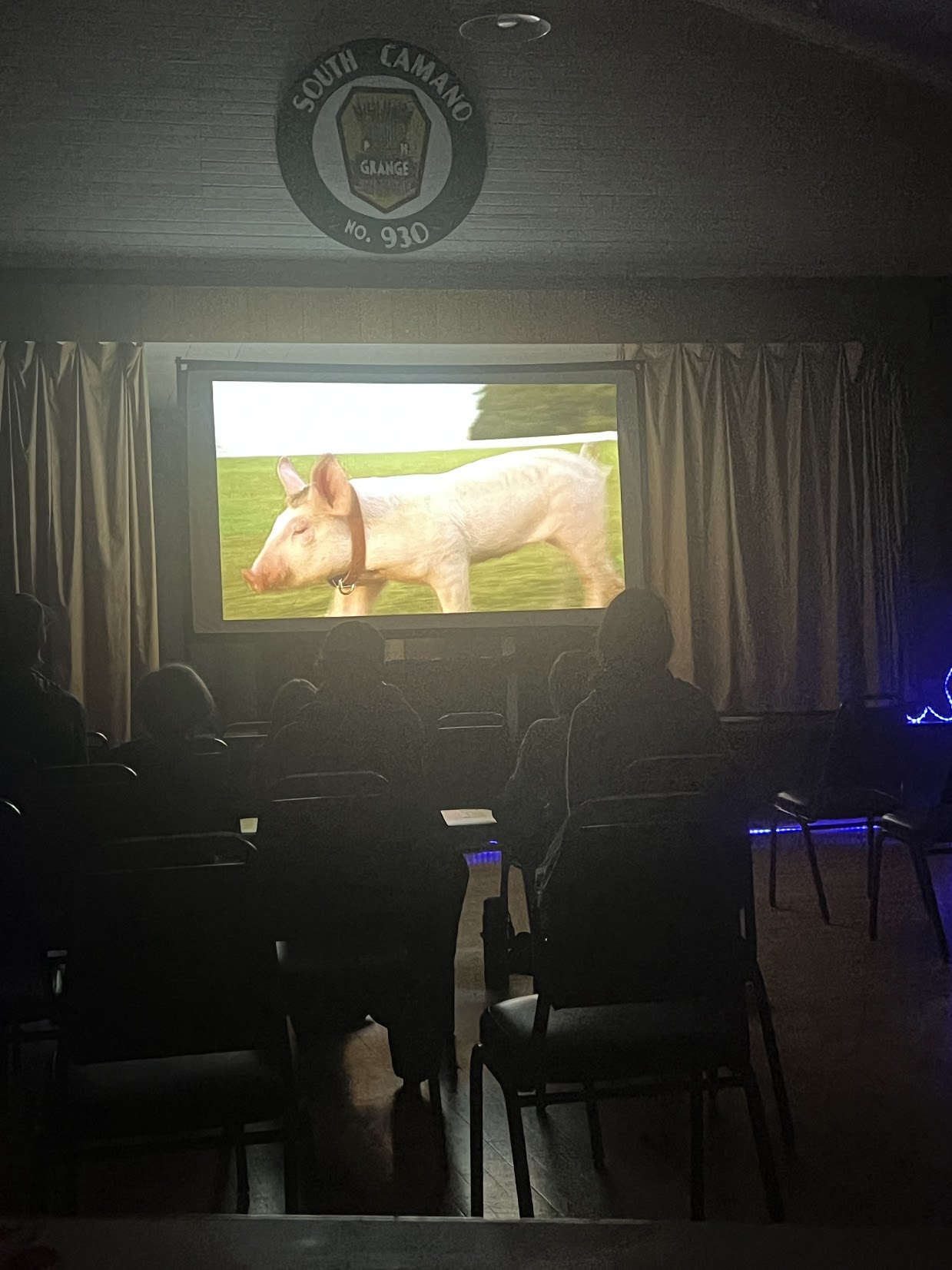 Movie Night: Babe!